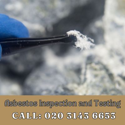 Comprehensive Asbestos Inspection and Testing Services in New Barnet